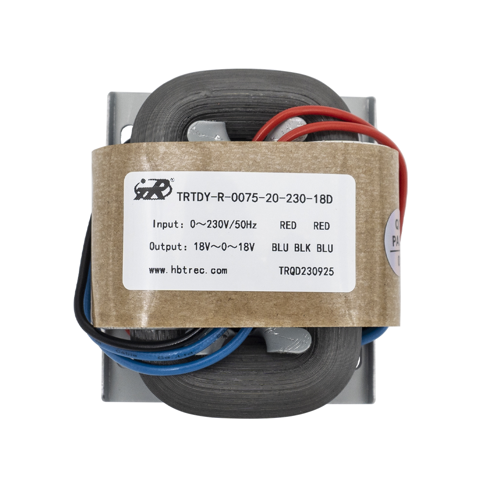 Trtdy-R-Type Transformer Transformer Transformer Power 5W-3000W